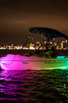 Glow Boat Date Night in San Diego